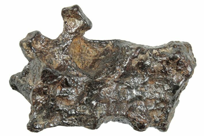 Sericho Pallasite Meteorite ( g) Metal Skeleton #267062